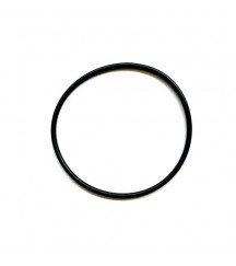 Sealing ring 20766211